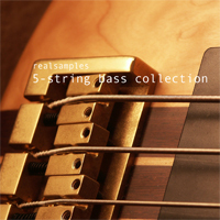 realsamples_-_5-String_Bass_Collection