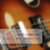 realsamples_-_Classic_Bass_Collection